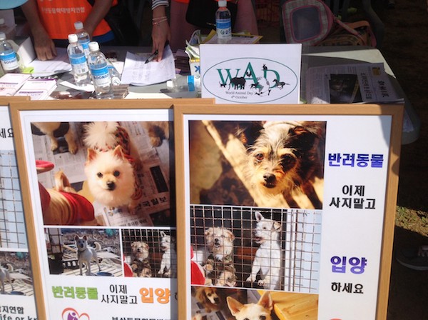 Celebrating World Animal day Korea 2014 #3