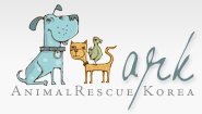 Animal Rescue Korea