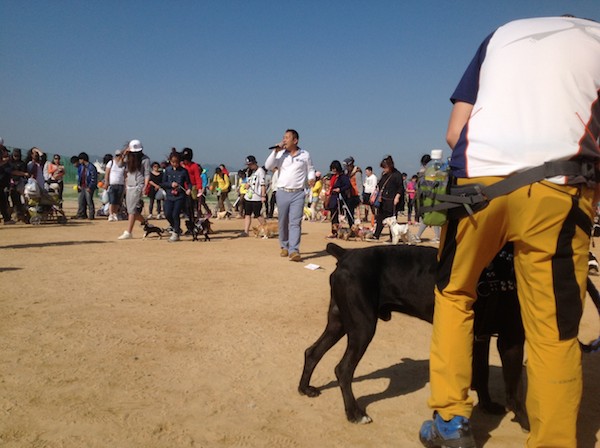 Celebrating World Animal day Korea 2014 #7